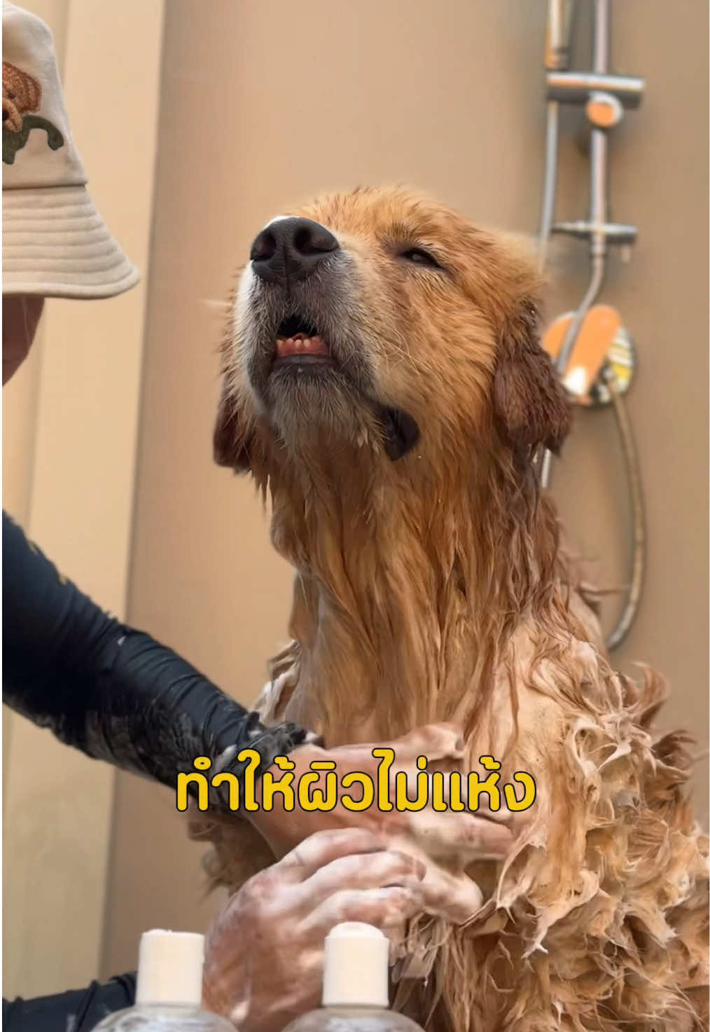 @Joommeng Mee Arai