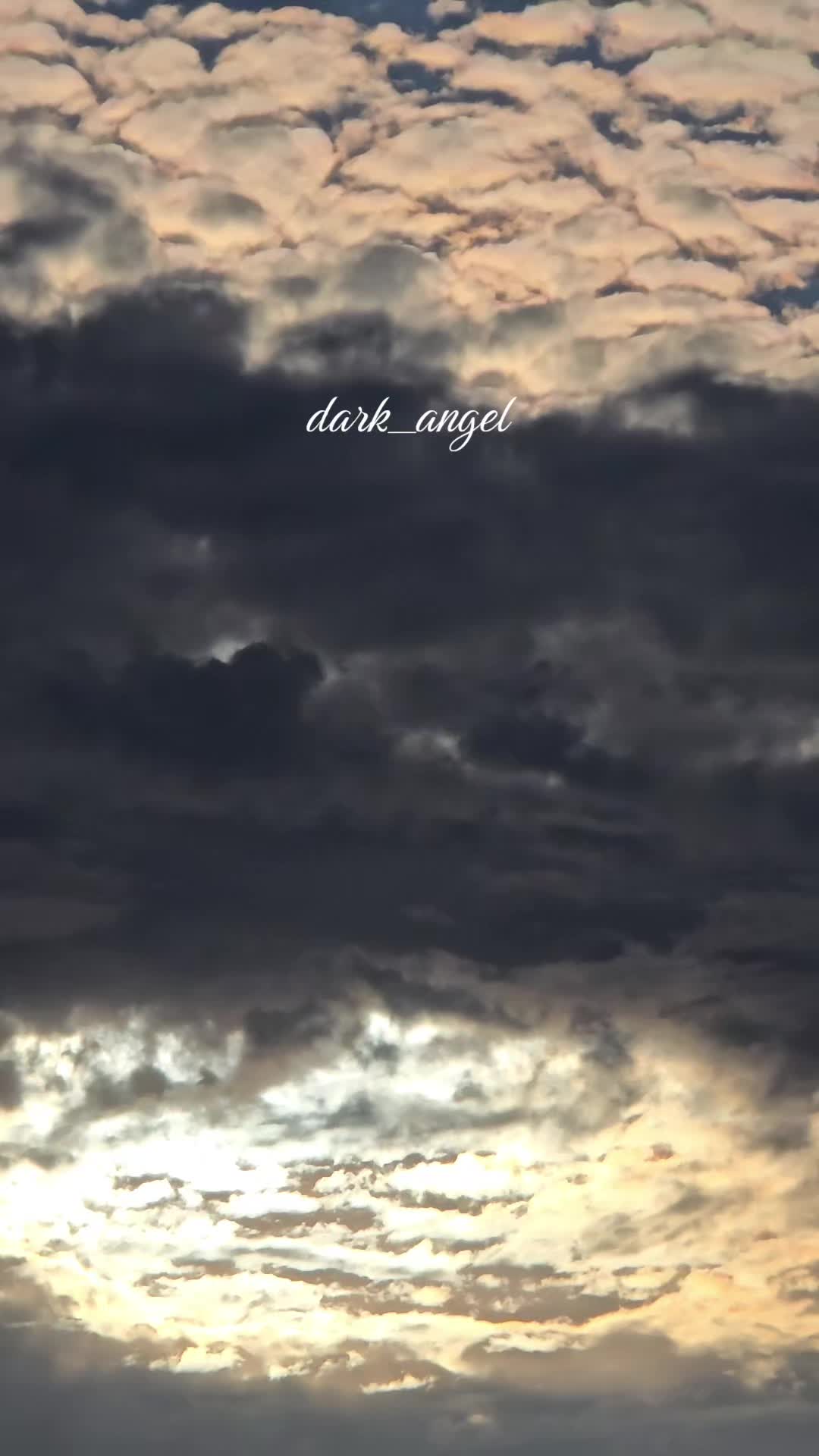 @Dark Angel