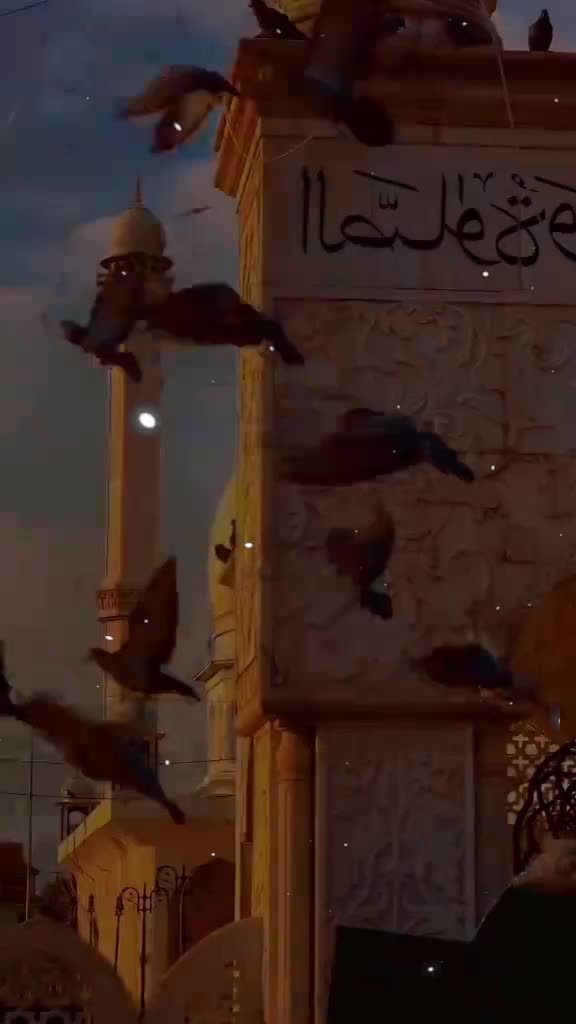 @Mr Mehdi Hasan 512
