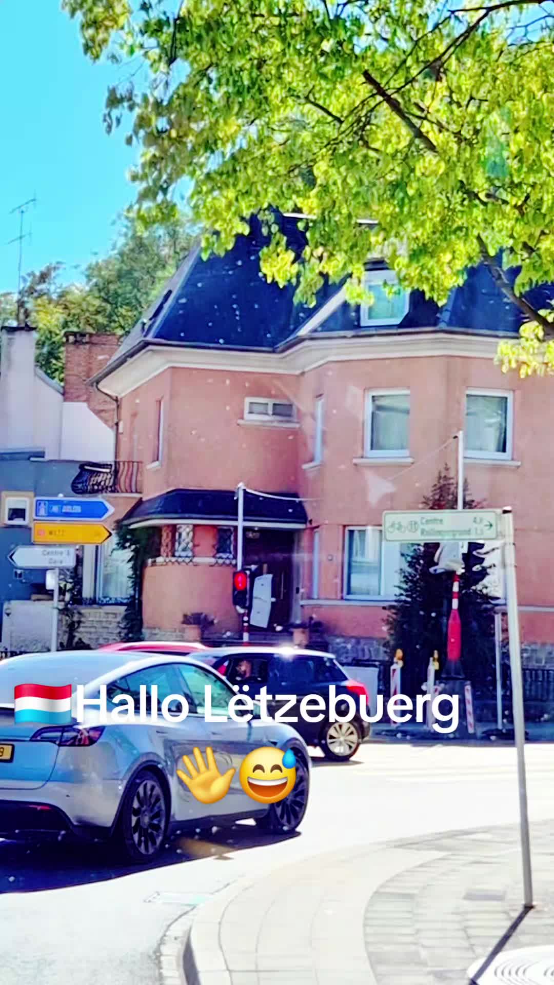 @Gra🙃ça🇱🇺 countrylife