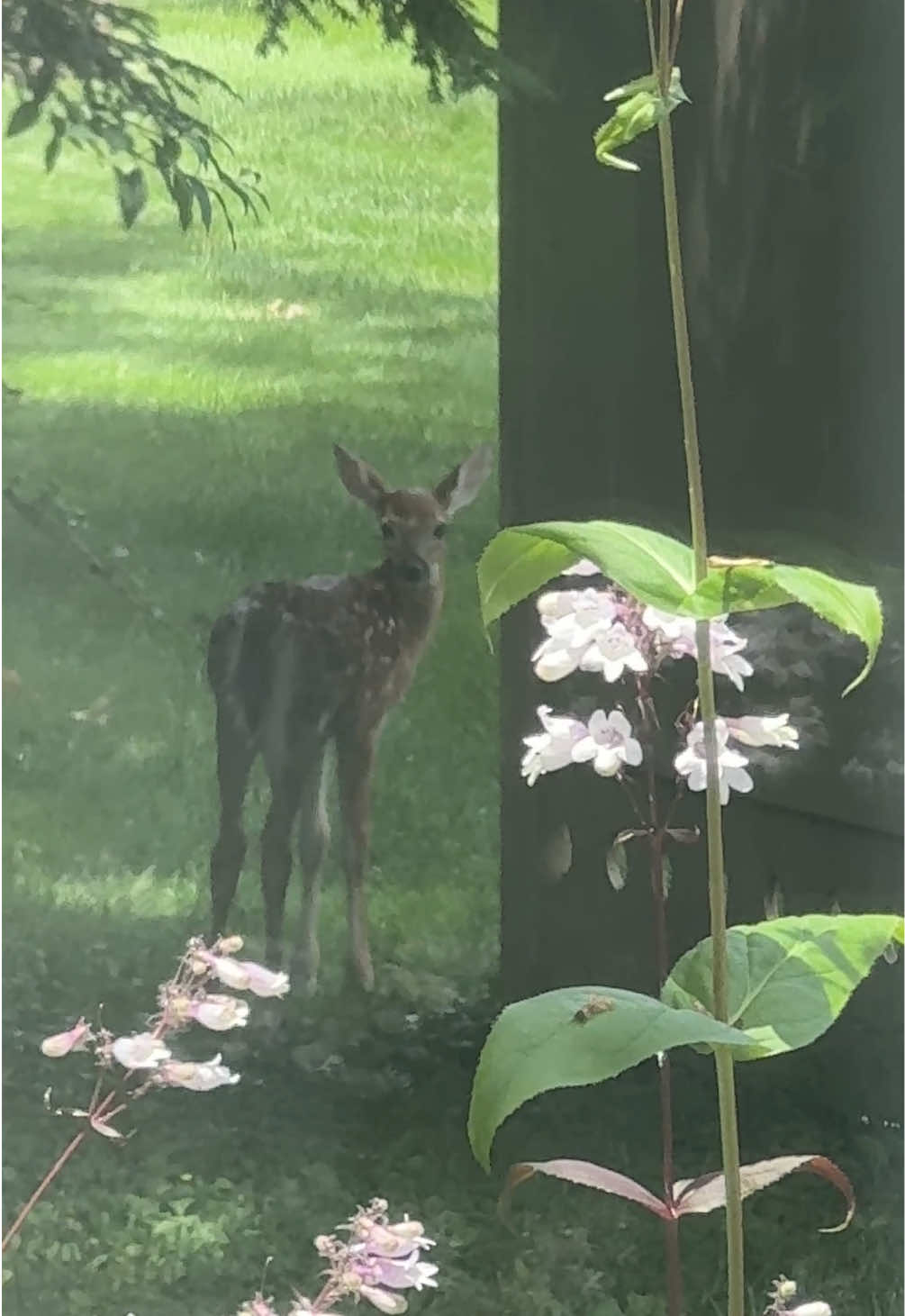 @zoeisposting