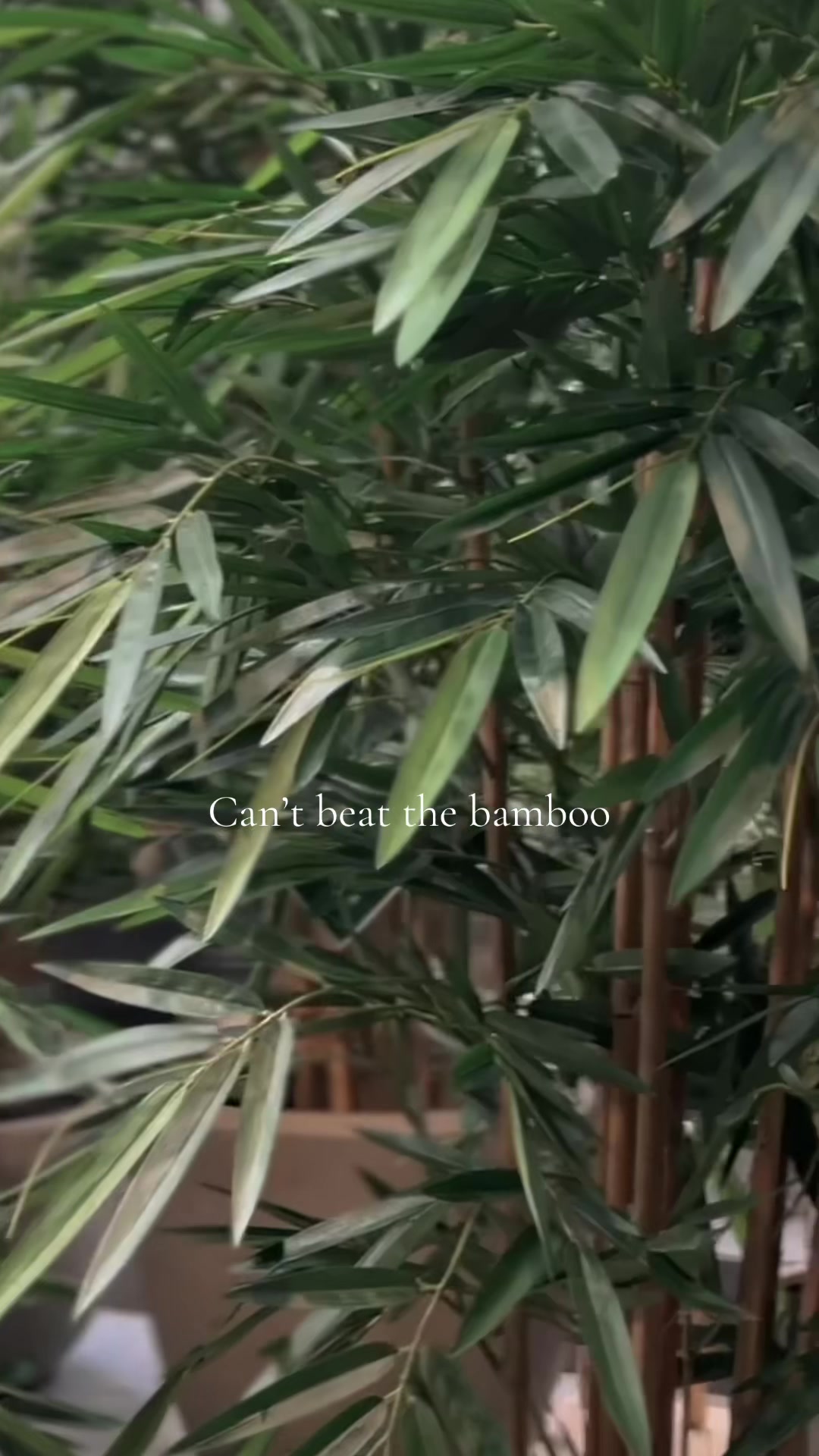 @Green4Ever