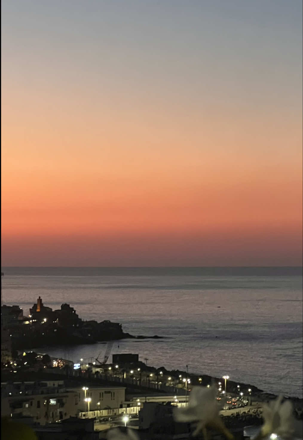 @fairouz 🇩🇿