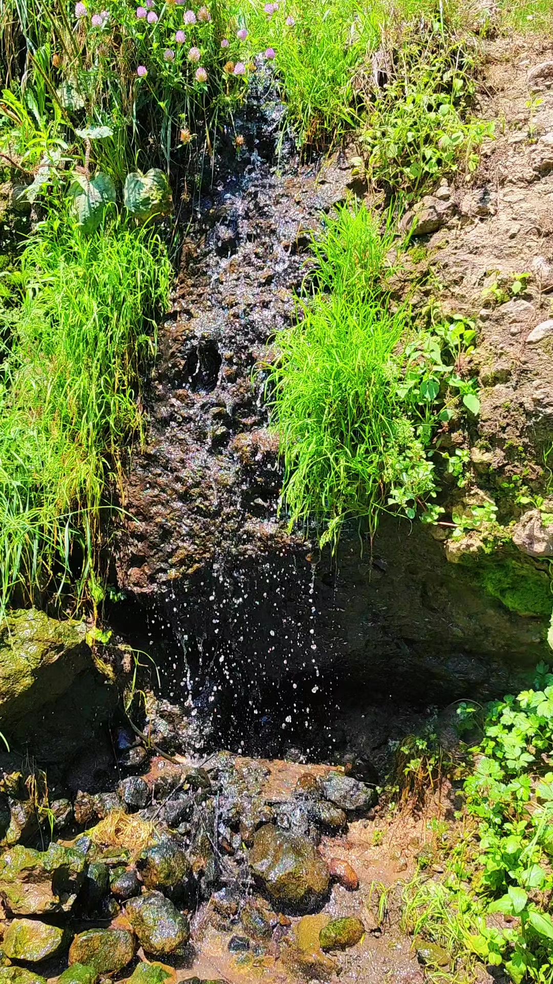 @Anar_Əliyev