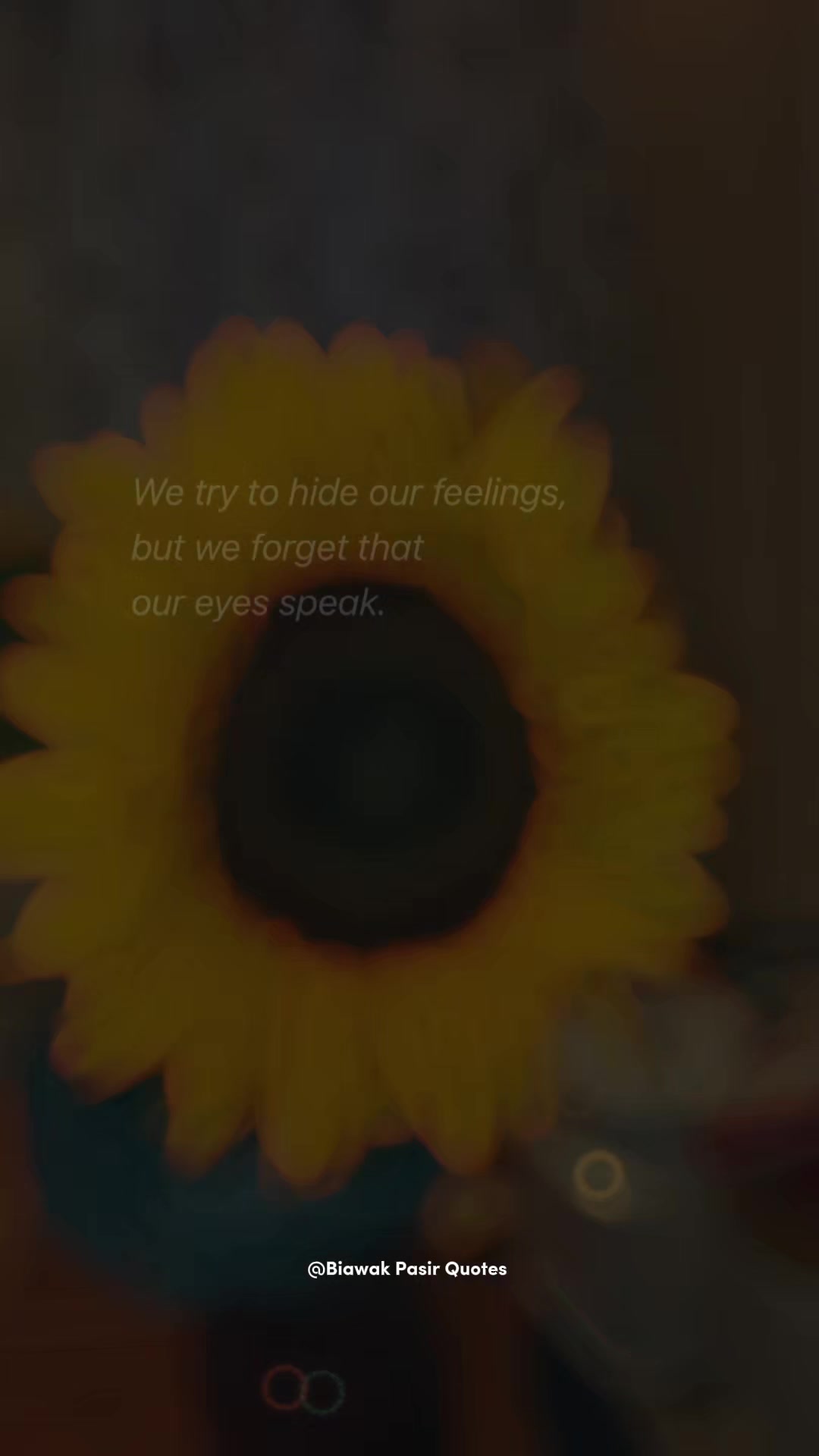 @ZenScopeOfficial