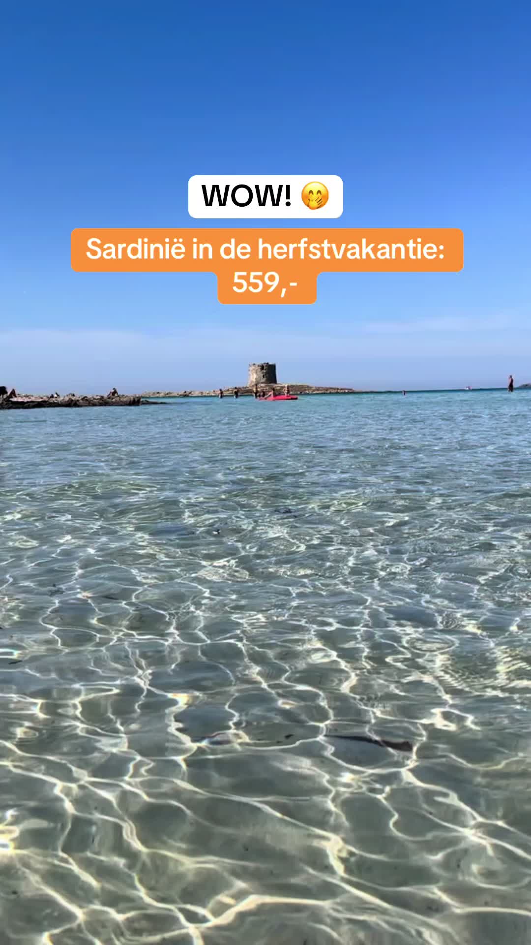 @TravelHunter | Reistips 🧡