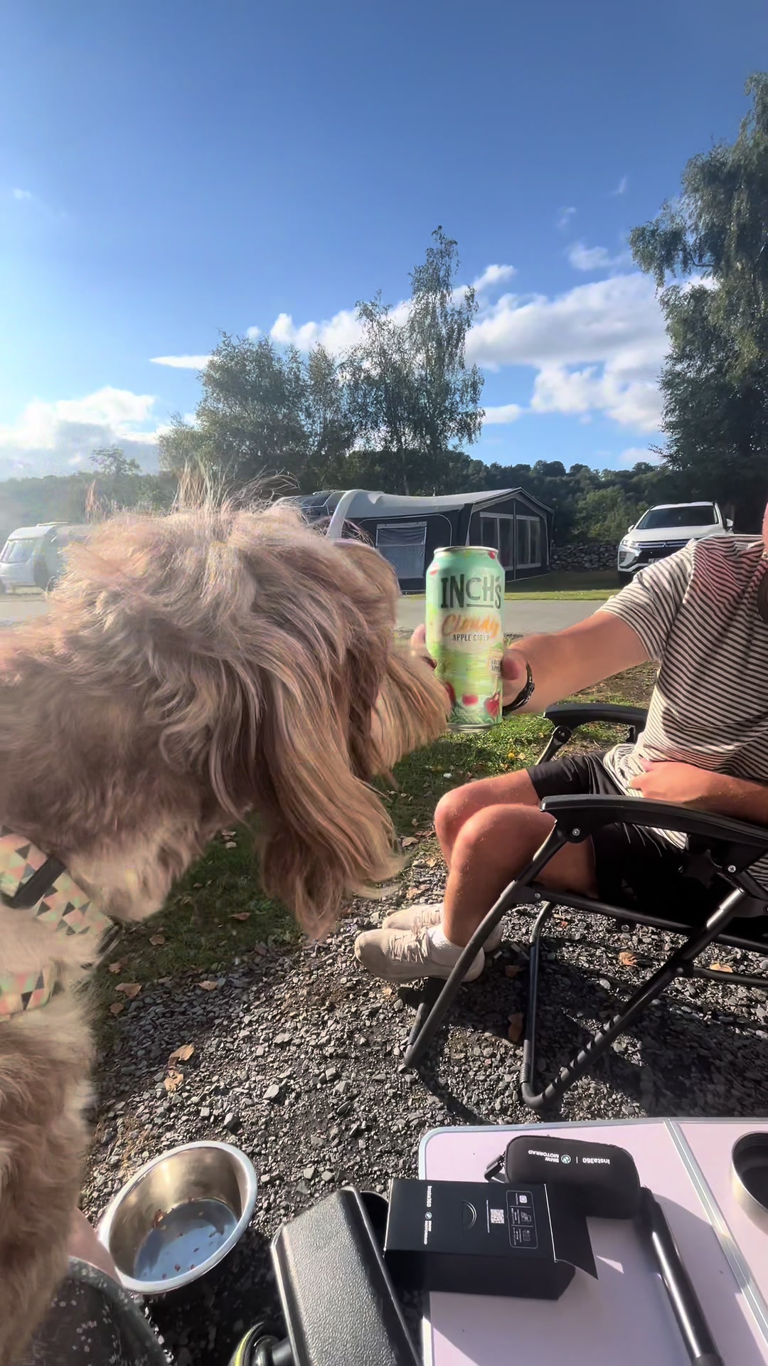 @pennythesprockerpoo