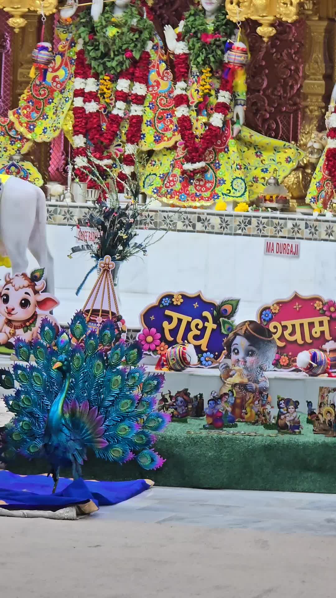 @parul Patel