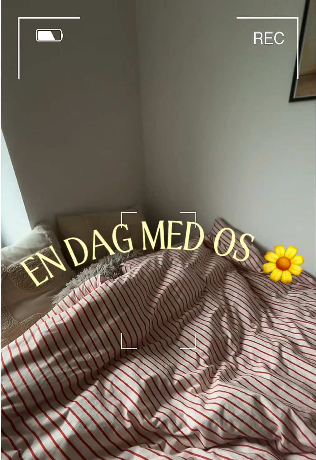 @Sara M&oslash;ller Thomsen