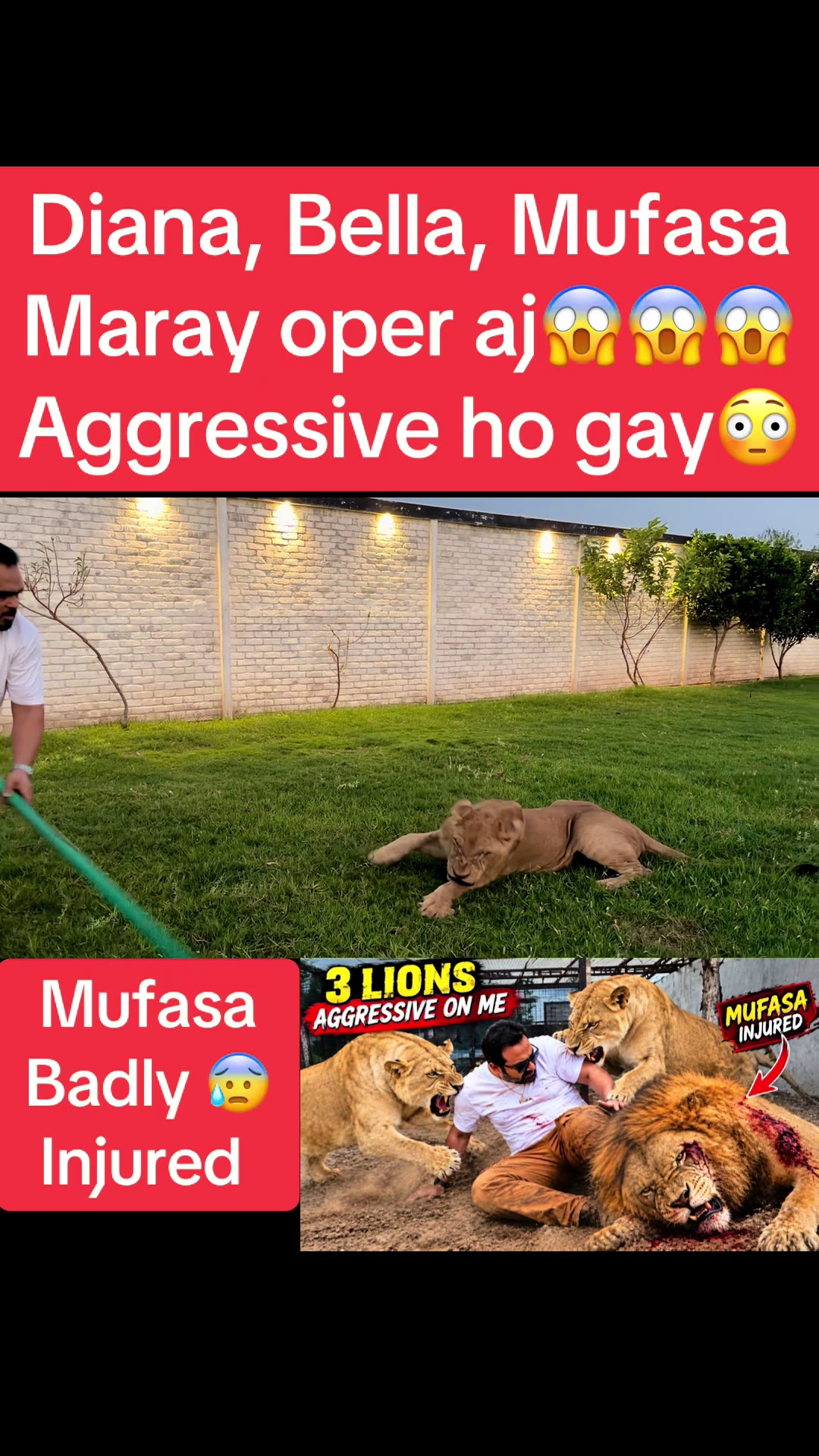 @Mian saqib