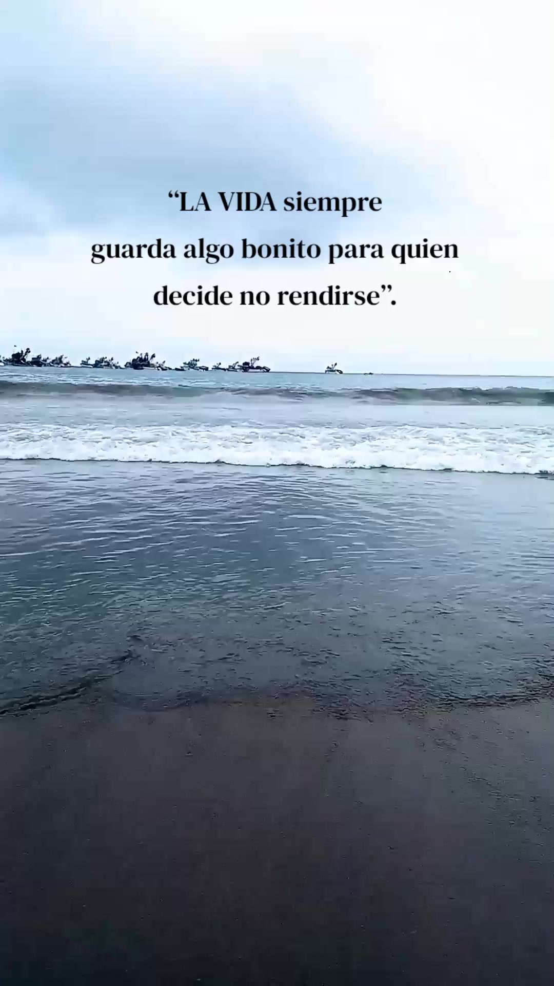 @Nani Torres