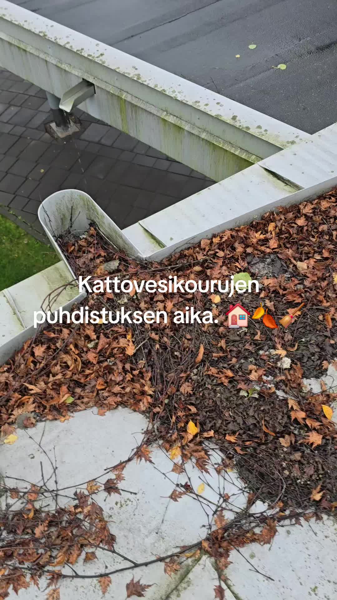 @Seurakuntamestari