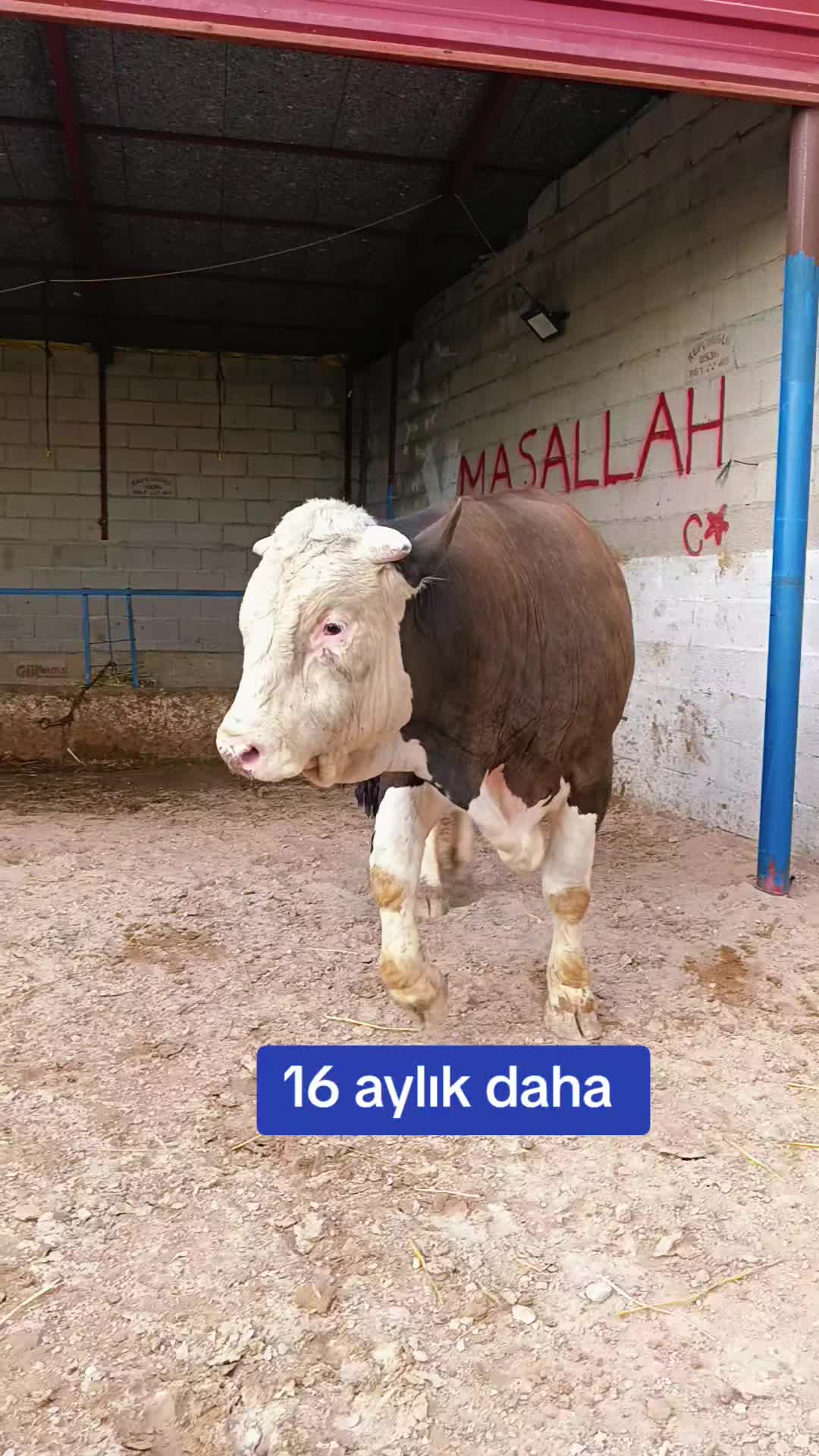 @Ömer 51