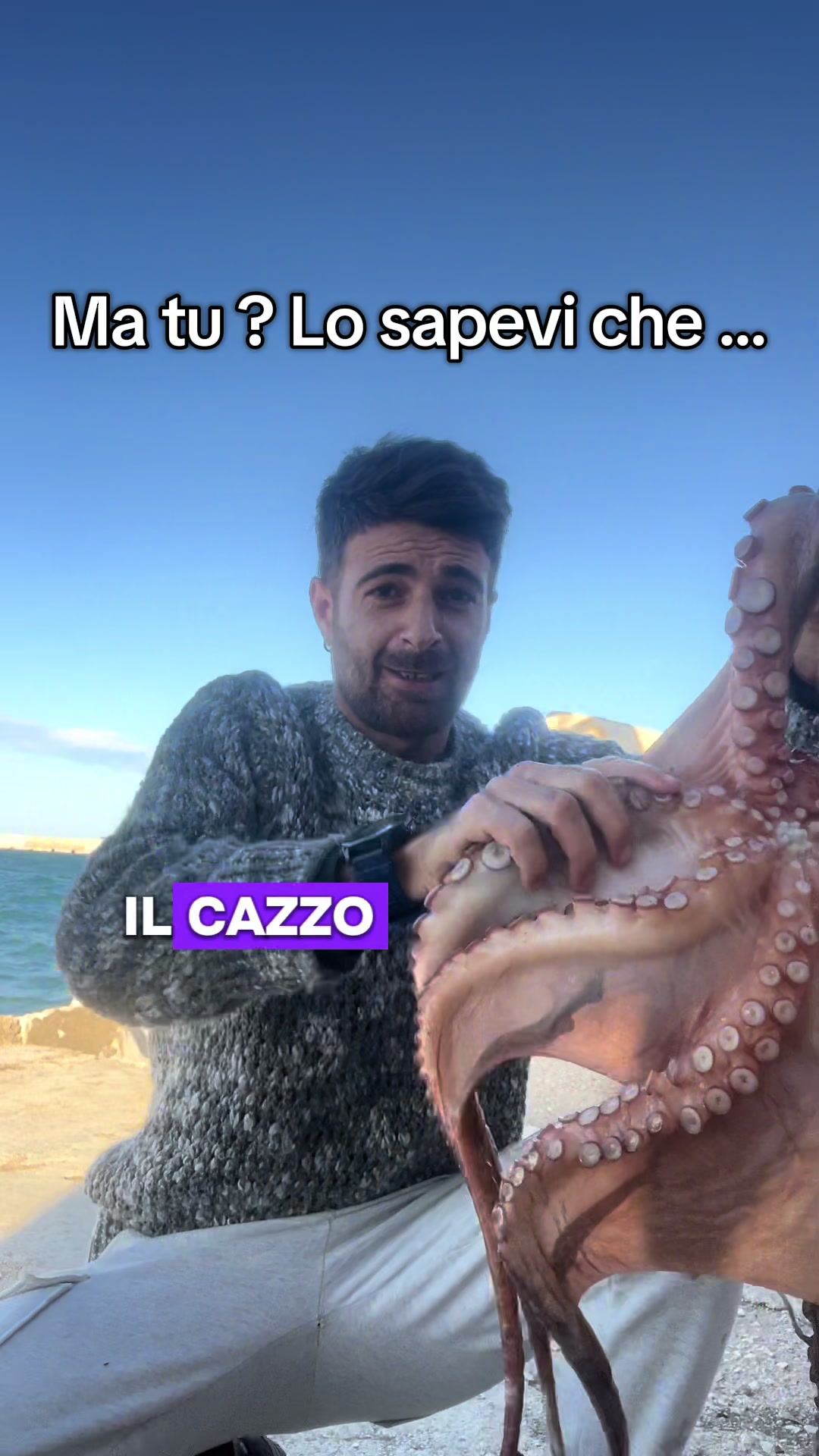 @GianlucaAmoruso