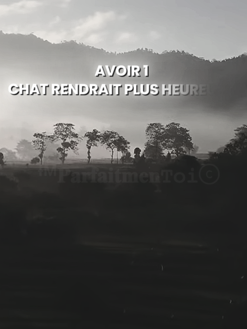 @ᶤᴹ𝐏𝐚𝐫𝐟𝐚𝐢𝐭𝐦𝐞𝐧𝚃𝚘𝚒ⓒ