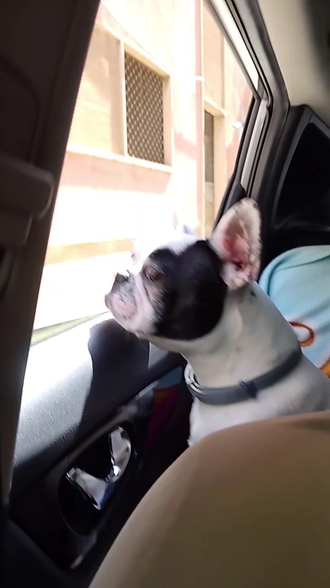 @Nelly🩷Maya🐶