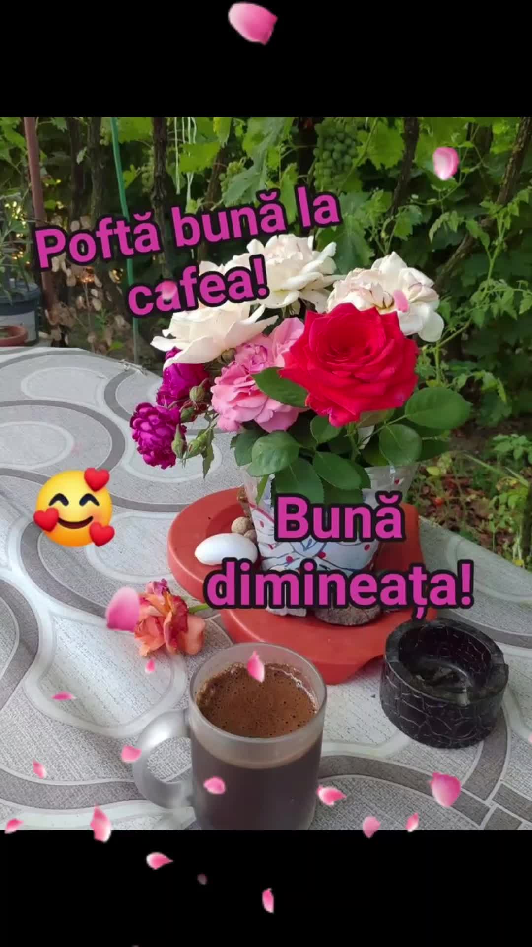 @Nicolae Iamandi Marin