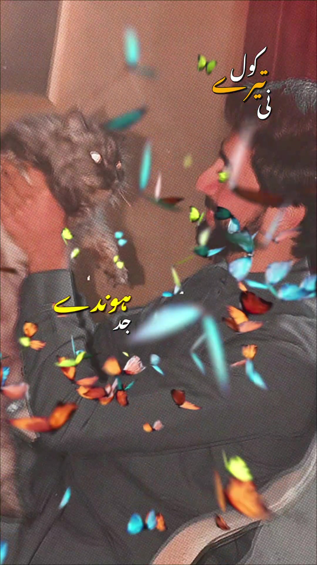 @SHAHZAIB