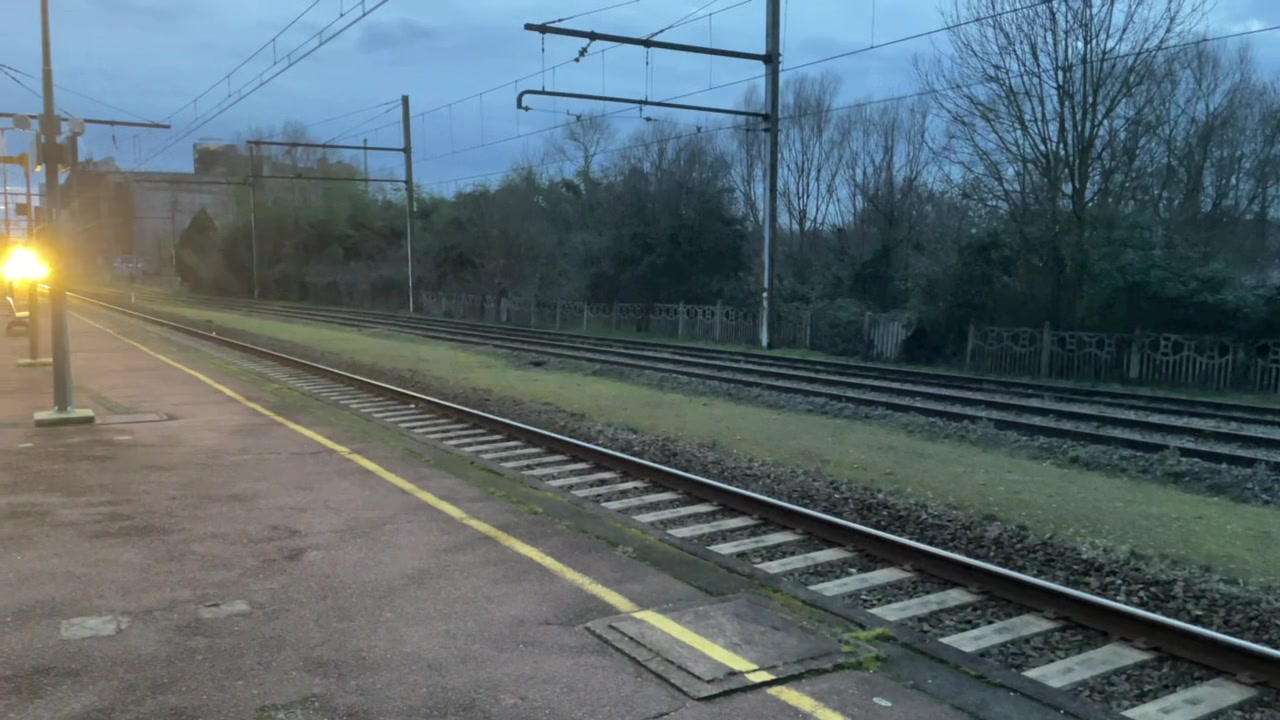 @Max 🚂