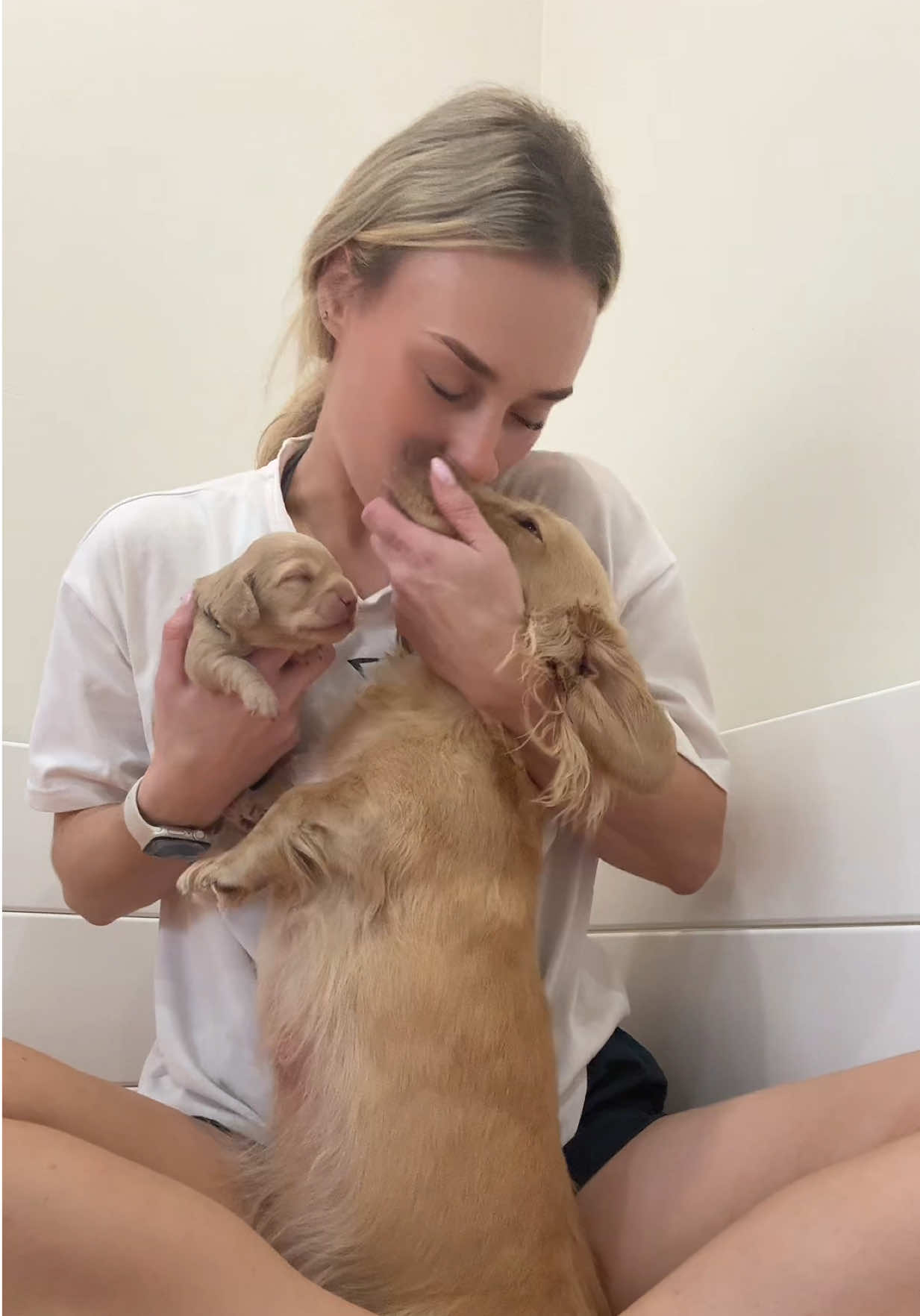 @Dachshund Dynasty