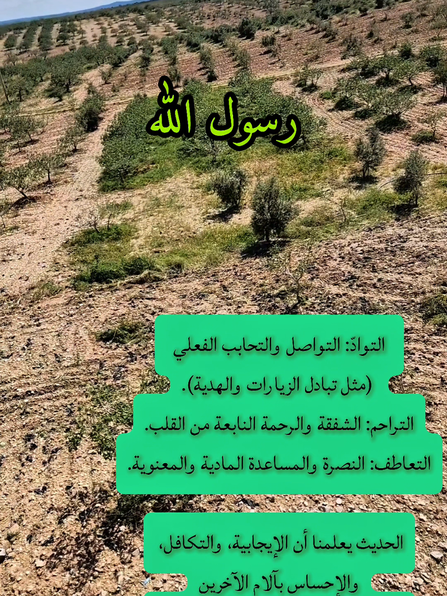 @مشكاة