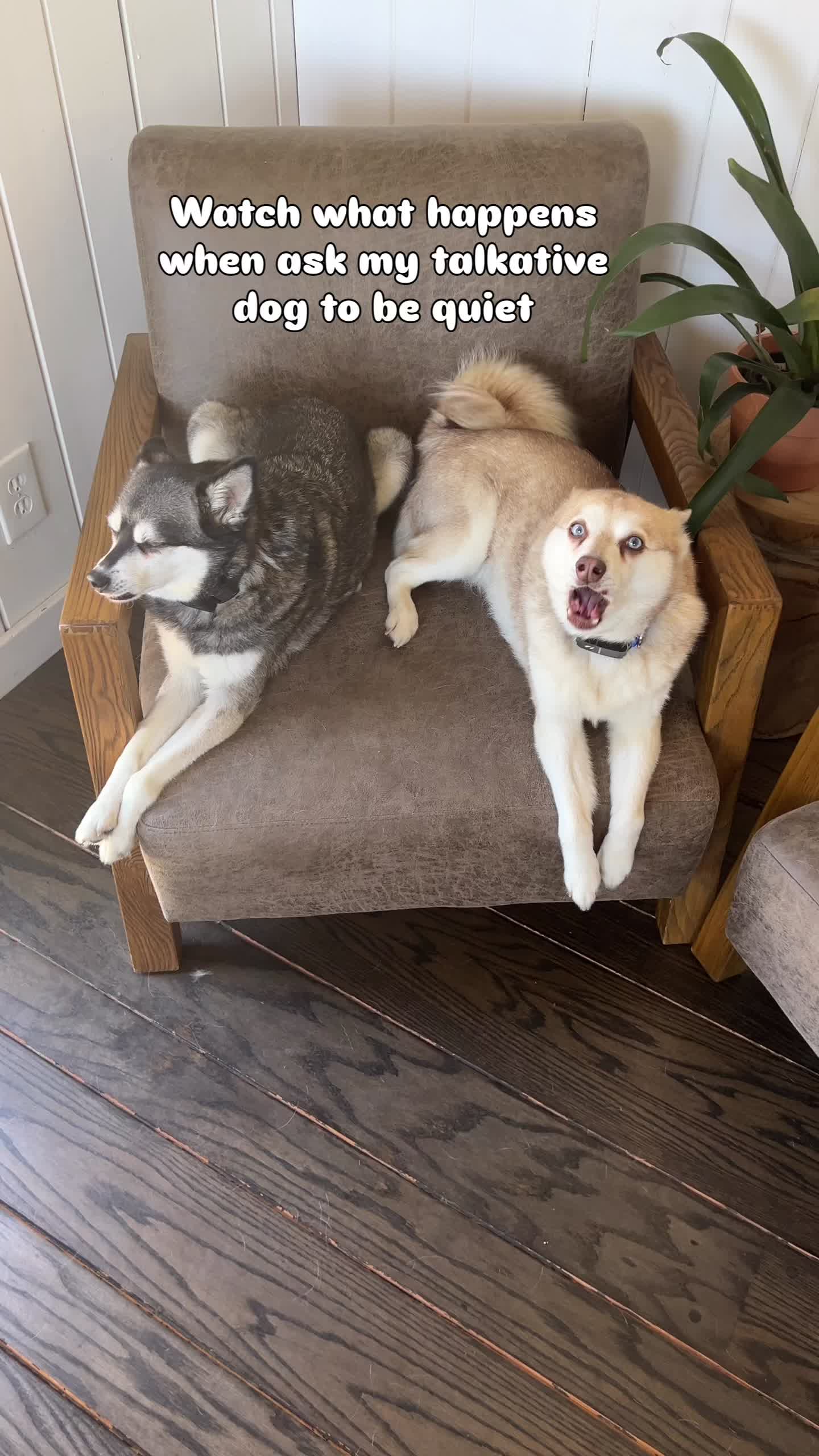 @lifewithkleekai
