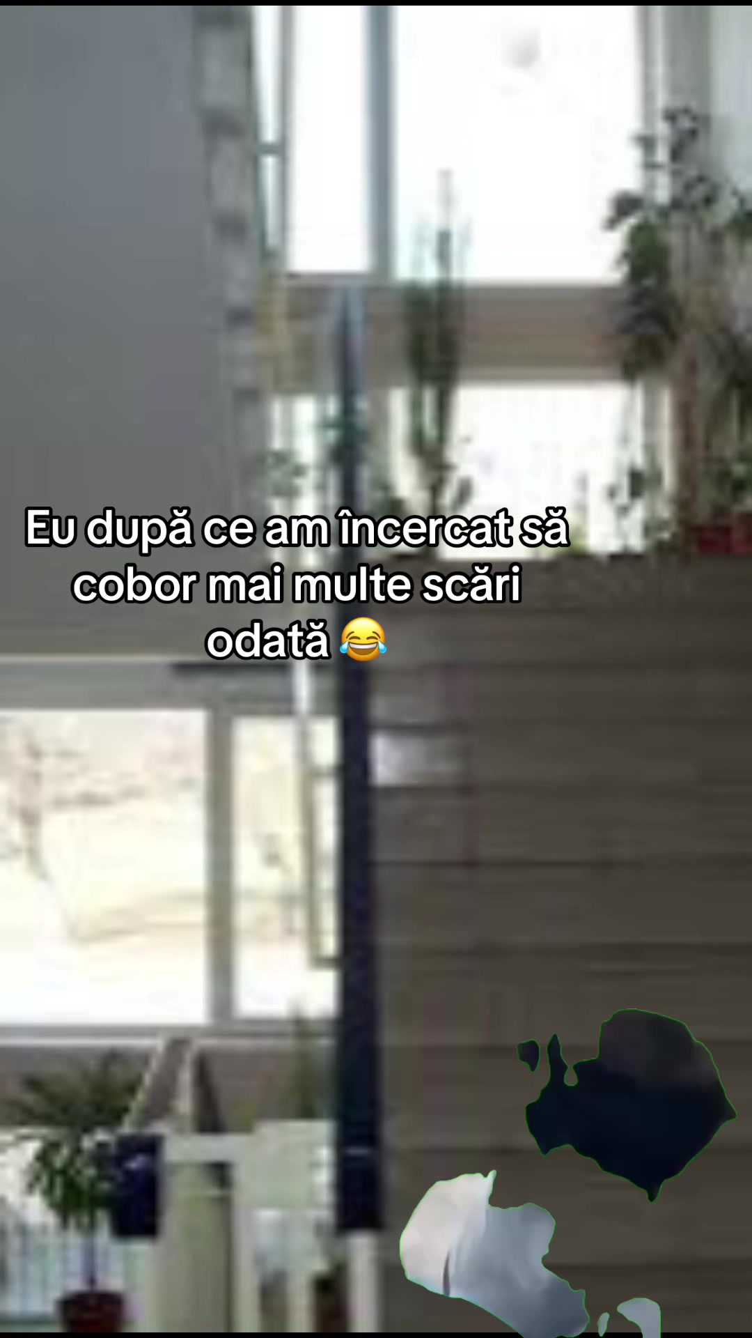 @nimicccc7