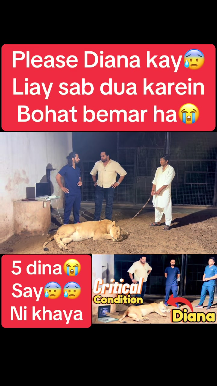 @Mian saqib