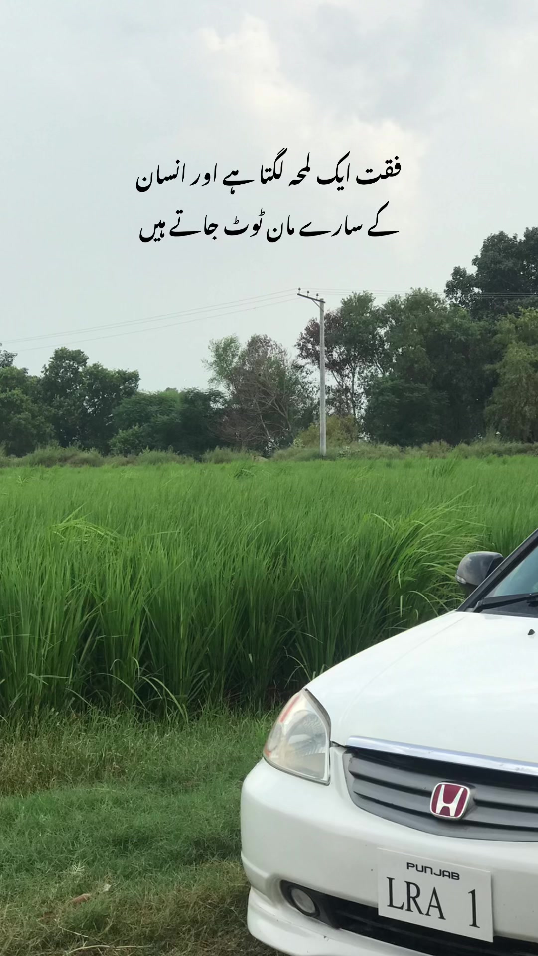 @فیضہ🤍