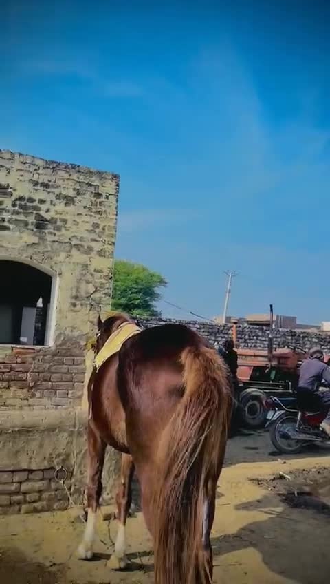 @majid Ƙàțàřîŷå