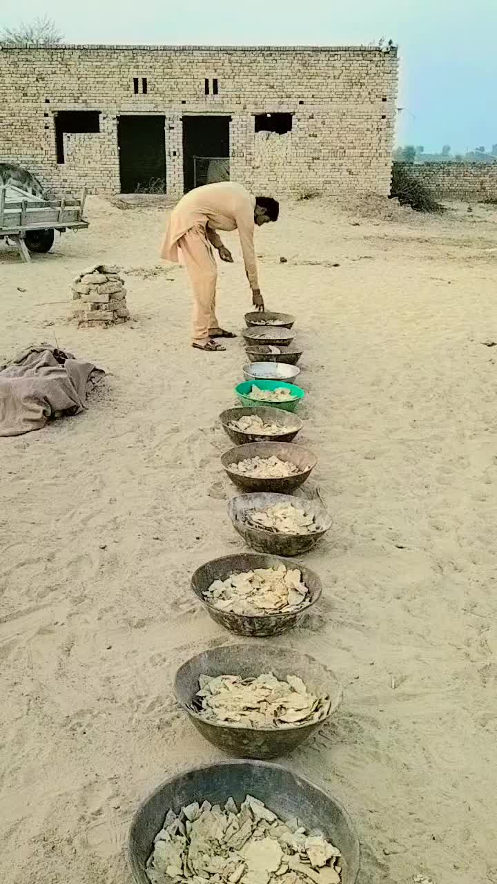 @Alishar 133