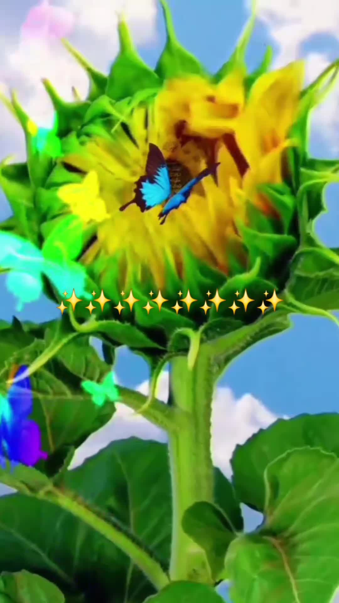 @ID