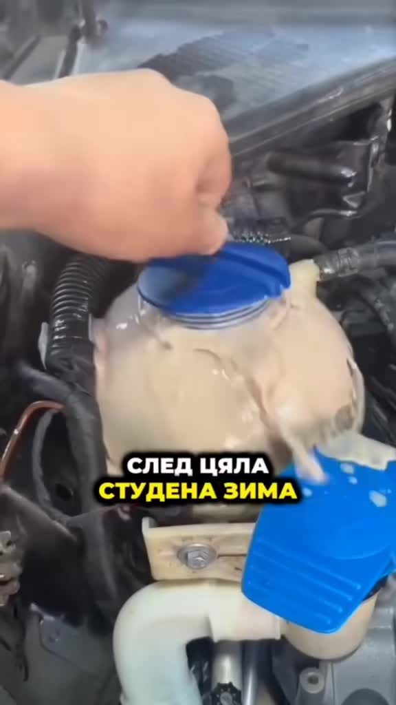 @Revzz