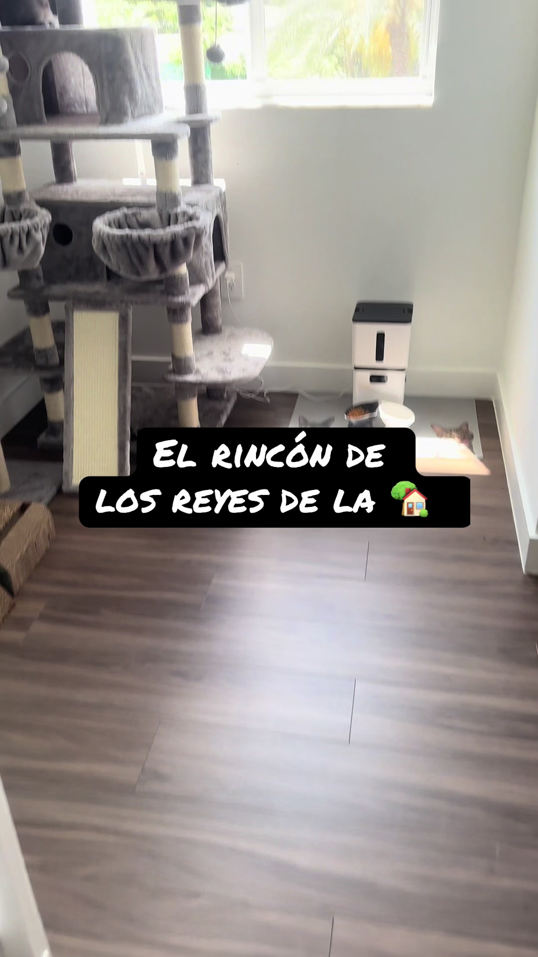 @wanloruiz