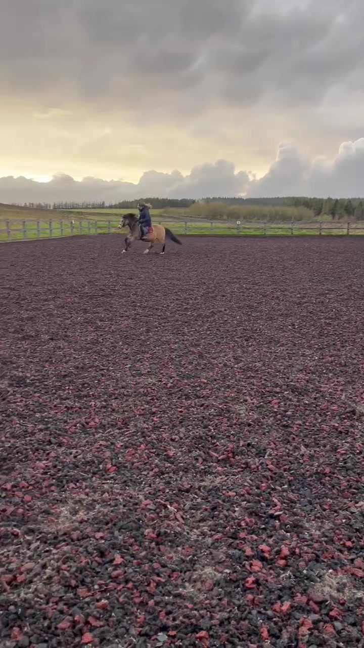 @Ellie 🐴🏎️