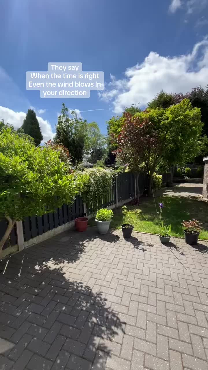 @Mehr.bee