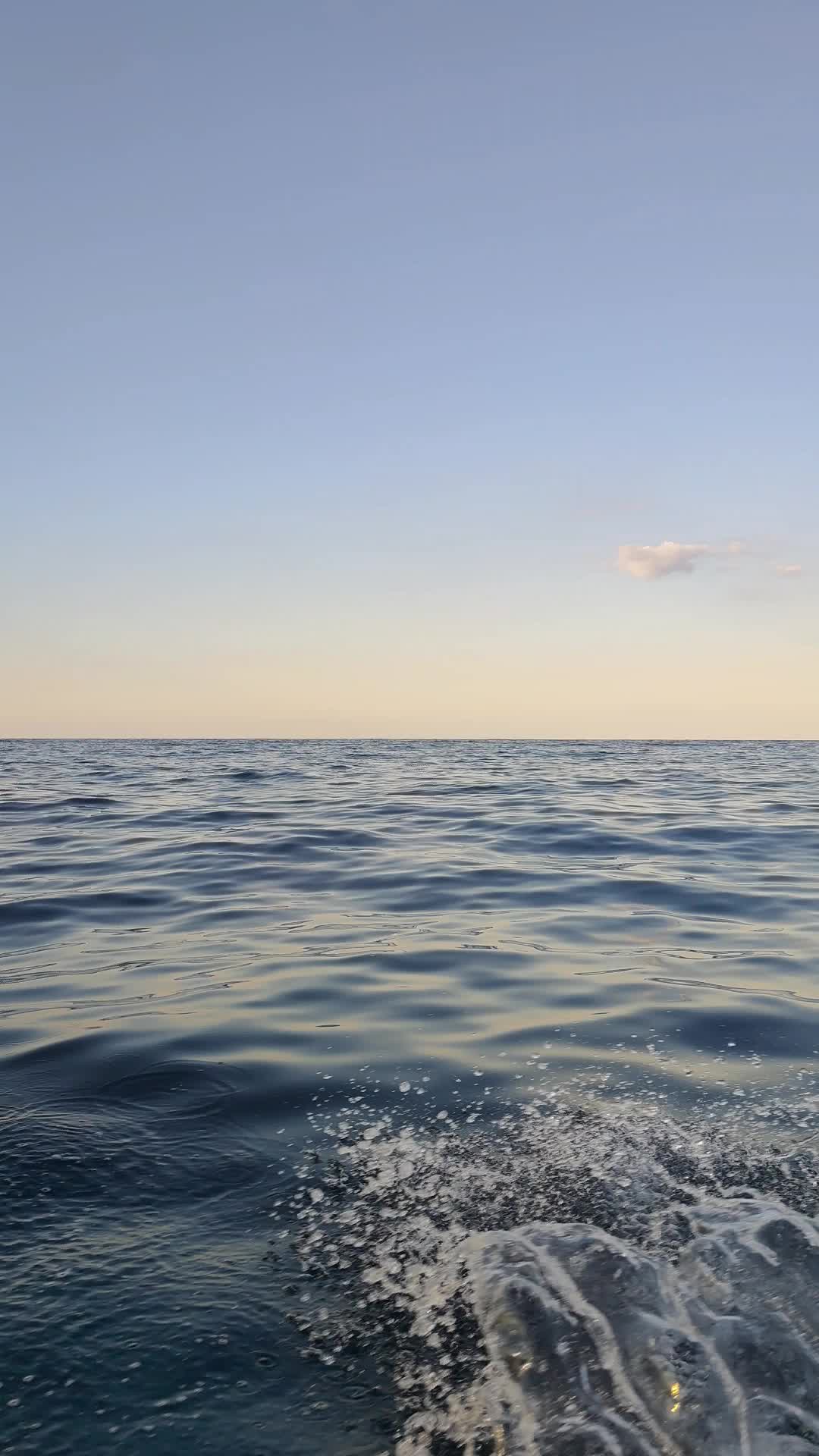 @#🌊Gabriel