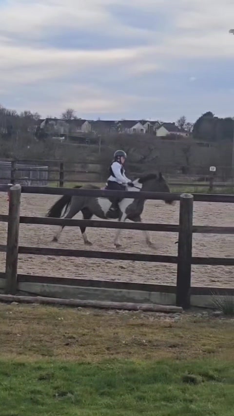 @Saoirse🪽🐎