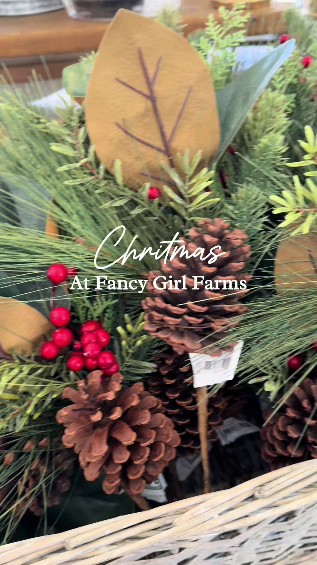 @fancygirlfarms