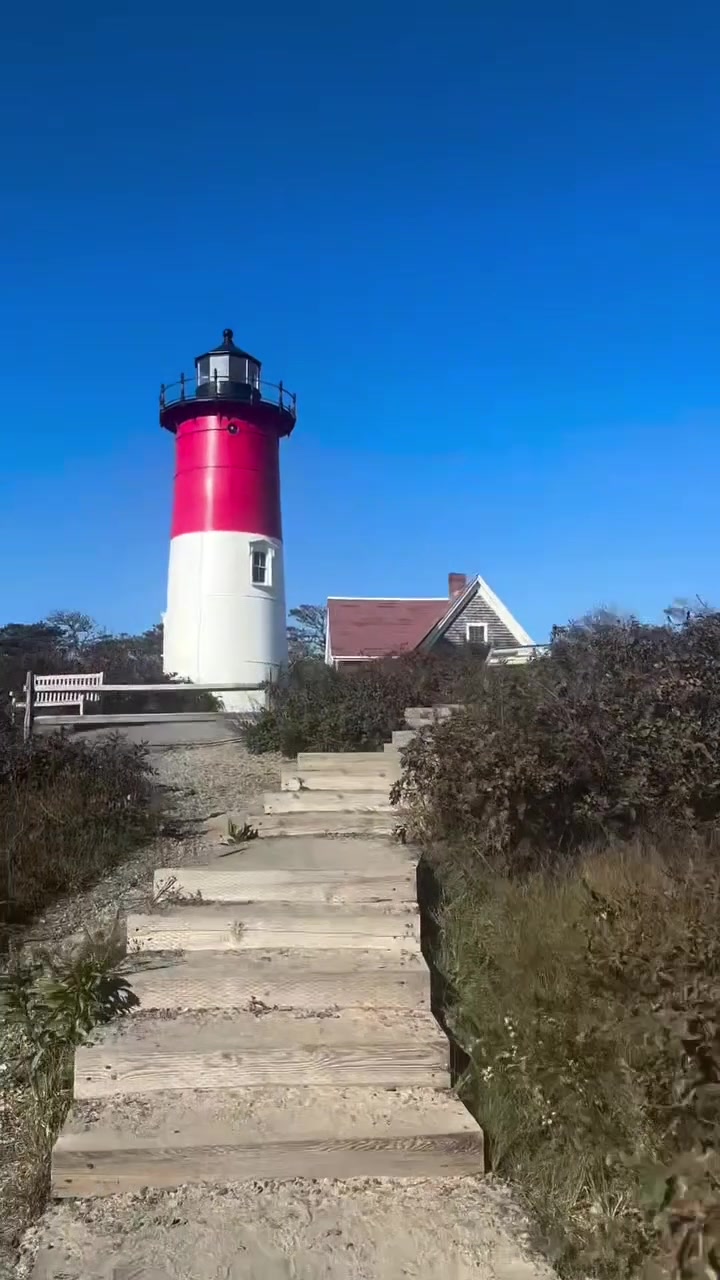 @Cape Cod Chips