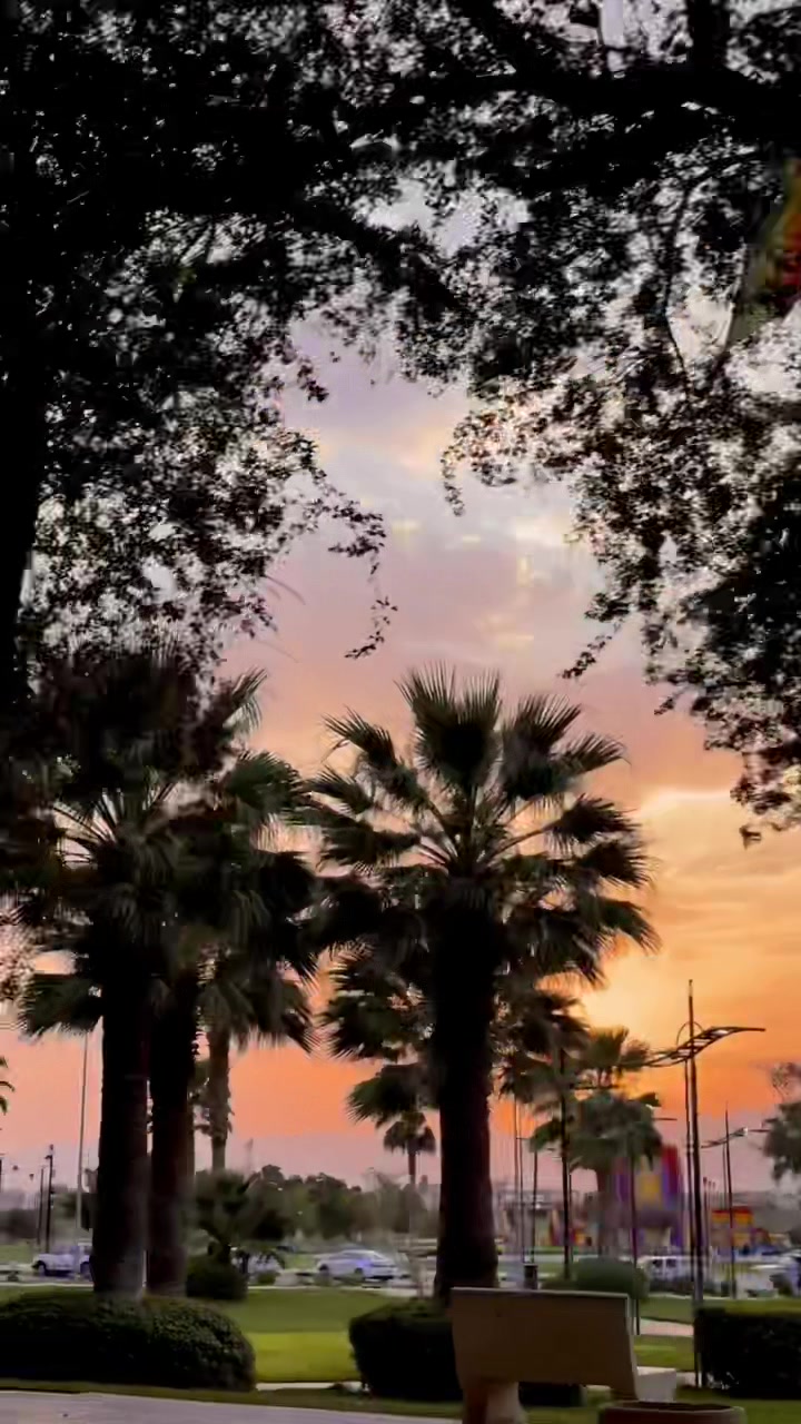 @أفنان.،🌿