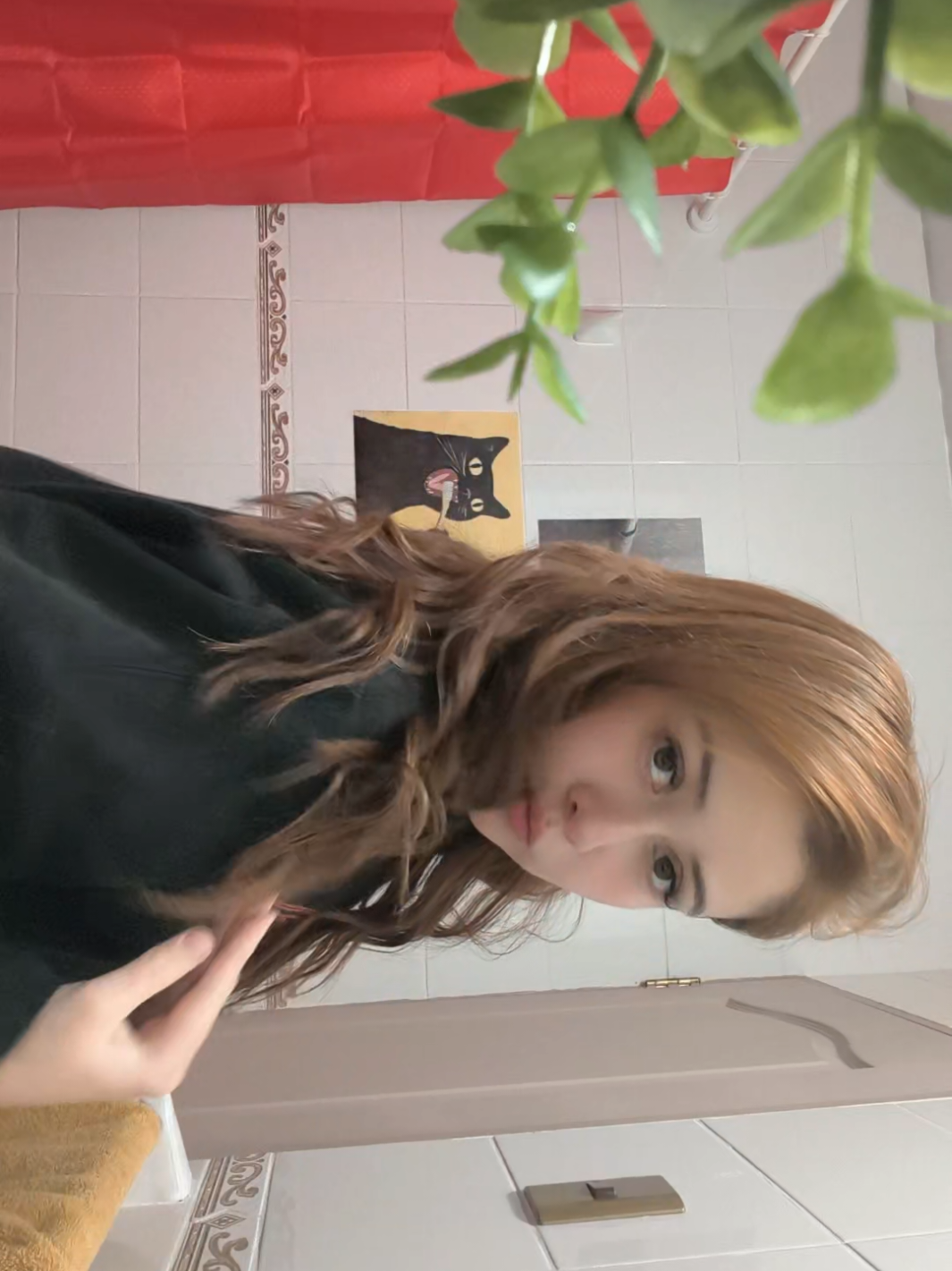@Paloma Aranxha Issav