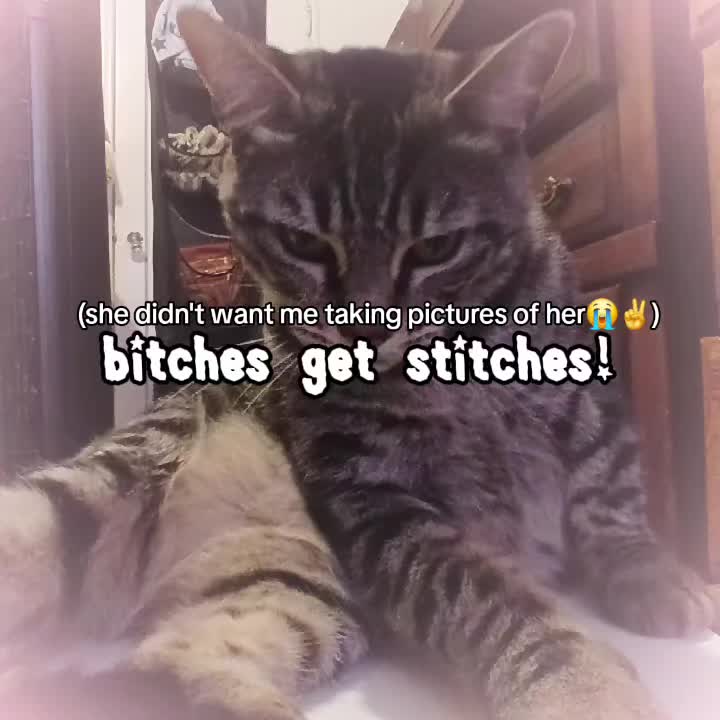 @_sᴏɴɪᴄʜᴀᴛᴇsᴏᴜᴛsɪᴅᴇ_