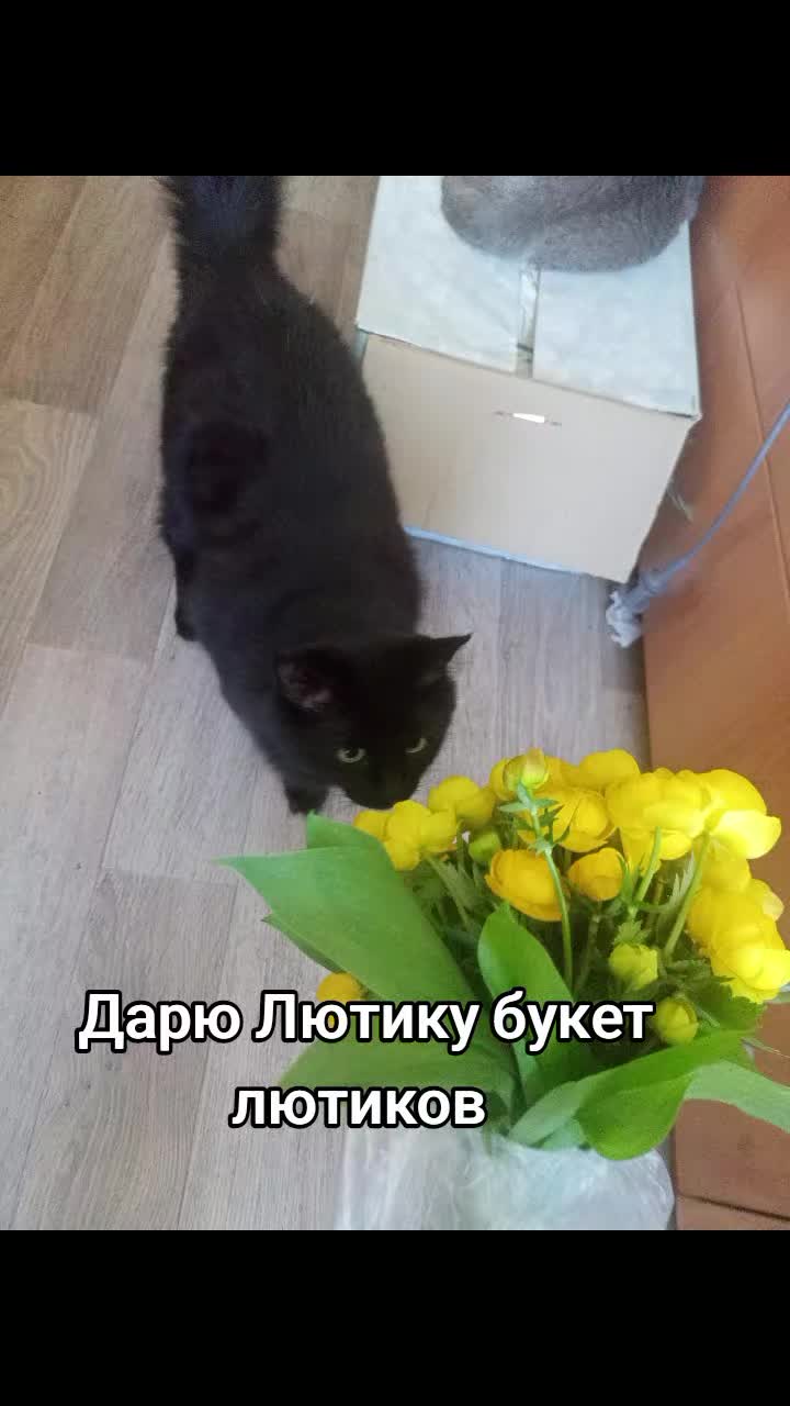 @Metrovaliz