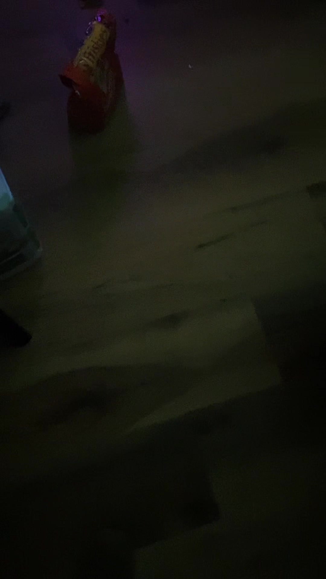 @gamerboy1233