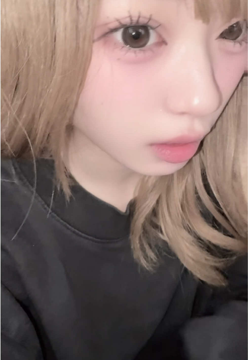 @ねこふぁいぶ