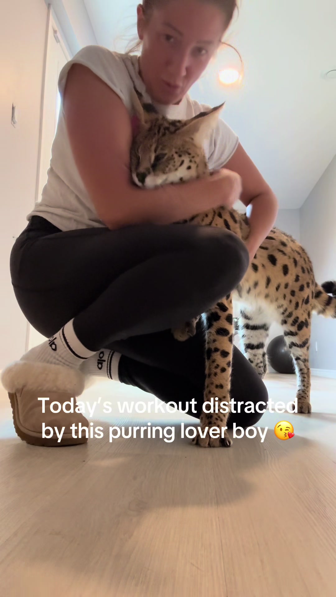 @milo the serval