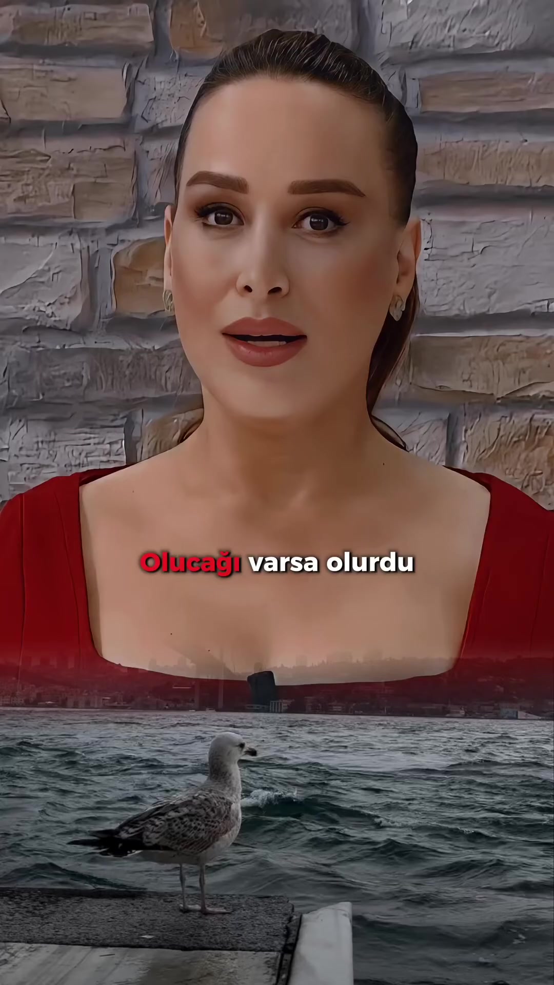 @sonbigulsene