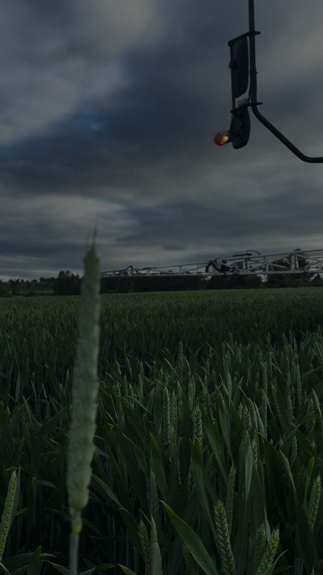 @Let’s farm Ireland