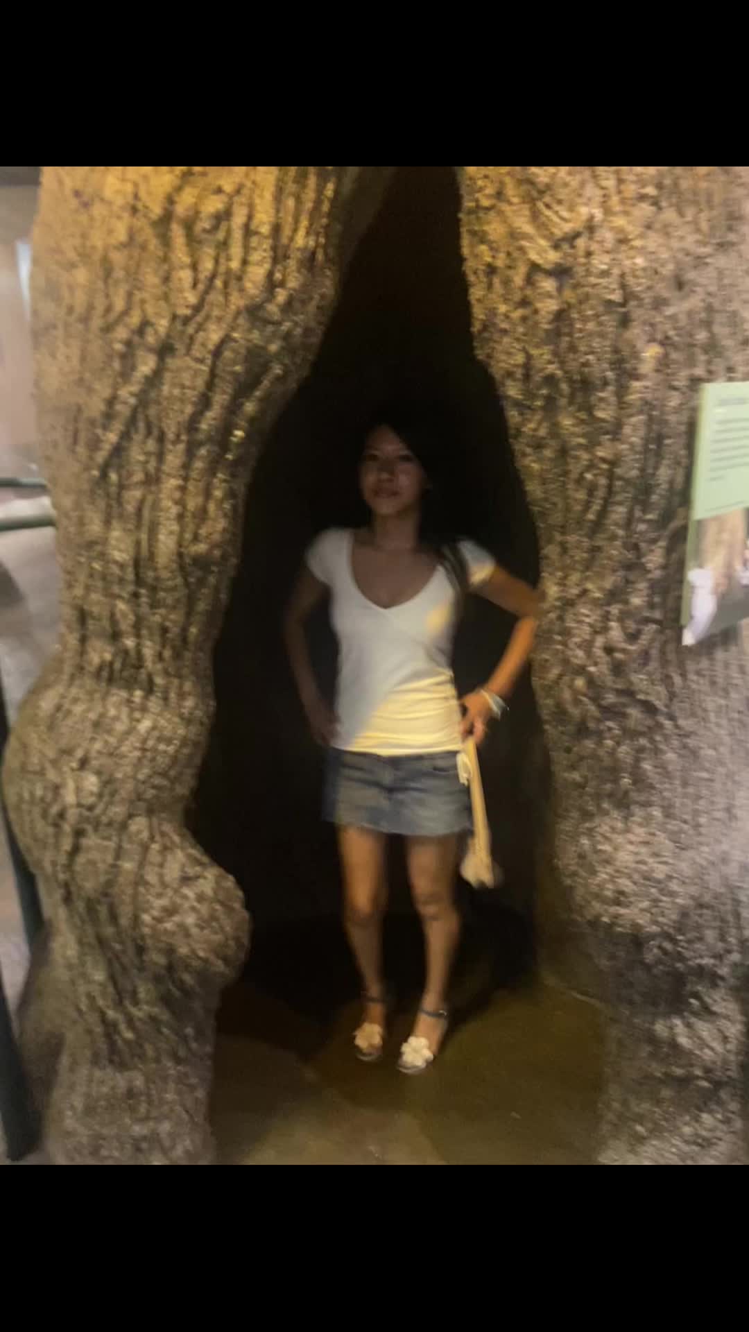 @🐭